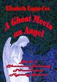 A Ghost Meets an Angel: Book 3 Shannon Delaney Paranormal Mystery Series
