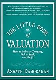 The Little Book of Valuation: How to Value a Company, Pick a Stock and Profit