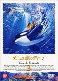 ̊C̃eBR(3) [DVD]