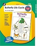 Butterfly Life Cycle (On-File Series)