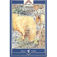 Taureau