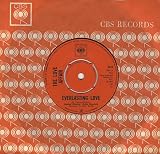 EVERLASTING LOVE VINYL 7" 1967 THE LOVE AFFAIR
