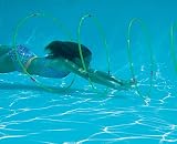 Underwater Swimming Hoops