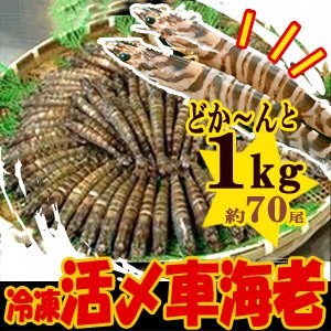 【訳あり】 鹿児島産 活〆 冷凍車えび 【小】 1kg 約70匹