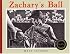Zachary's Ball (Tavares baseball books)
