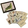 Birds & Nests 24 piece set Cavallini Boxed Magnets Set