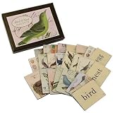 Birds & Nests 24 piece set Cavallini Boxed Magnets Set