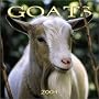 Goats 2004 Calendar