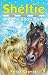 Sheltie and the Snow Pony