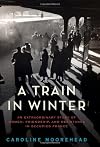 A Train in Winter