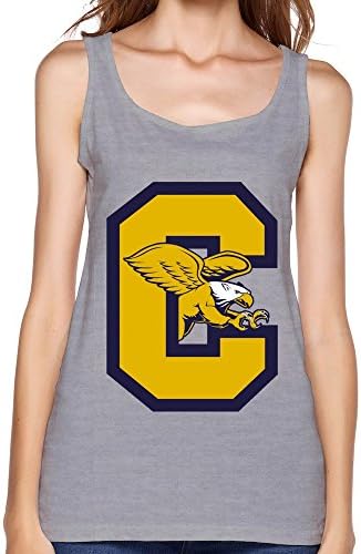 RUIFENG Women's Canisius College Golden Griffins Logo Geek Top- M Gray