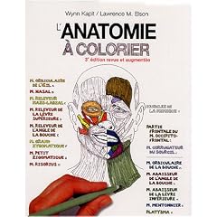 L'anatomie � colorier