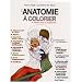 L'anatomie � colorier