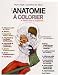 Livres : L'anatomie à colorier