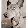 Street Dogs