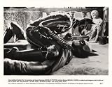 Batman Returns - Michelle Pfeiffer - Original Catwoman Movie Poster Photo Print - 8 x 10