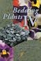 Bedding Plants IV: A Manual on the Culture of Bedding Plants as a Greenhouse Crop (No. IV)