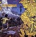 Scatterbrain-HERE COMES TROUBLE