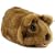 Gupi V3.0 Interactive Guinea Pig