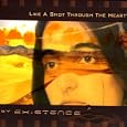 Like A Shot Through The Heart