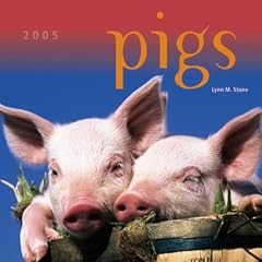 Pigs Wall Calendar 2005