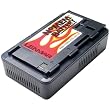 Lenmar RHB66 Battery for RCA, Hitachi and VHS Camcorders