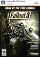 Fallout 3: Game of The Year Edition (PC)
