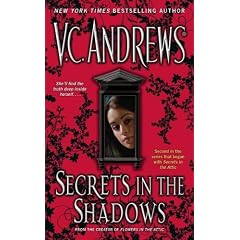 Secrets in the Shadows (Secrets (Pocket Books Paperback))