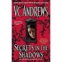 Secrets in the Shadows (Secrets (Pocket Books Paperback))