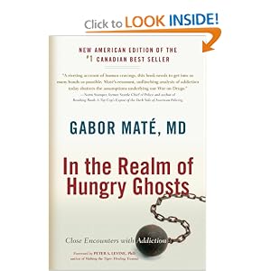 In the Realm of Hungry Ghosts: Close Encounters with Addiction by Gabor Mate M.D. and Peter A. Levine Ph.D.