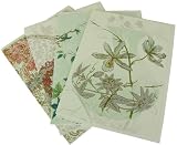 4 Assorted English Porcelain Motif Greeting Cards Wedgewood Butter