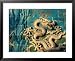 Detail of the Nine Dragon Screen in Beihai Park, Beijing, China Styles Framed Art Poster Print by Jonathan Smith, 31x25
