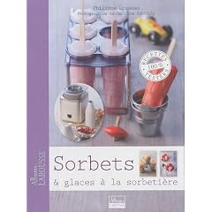 Sorbets & glaces � la sorbeti�re