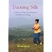 Turning Silk: A Diary of Chen Taiji Practice, the Quan of Change