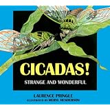 Cicadas!: Strange and Wonderful