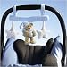 Nattou Spieltrapez Dreambear