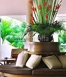 IMAGE OF Wallmonkeys Peel and Stick Wall Decals - Hotel Hall - 48