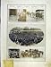 Africa Martial Law Labour Botha Story News Print 1914