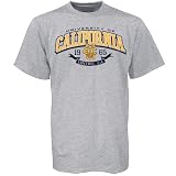 UC Irvine Anteaters Ash School Pride T-shirt