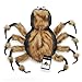 Zack & Zoey Fuzzy Tarantula Costume for Dogs, 12