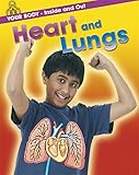 Heart and lungs