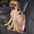 PINK - SMALL / MEDIUM - The Cruising Companion Car Harness