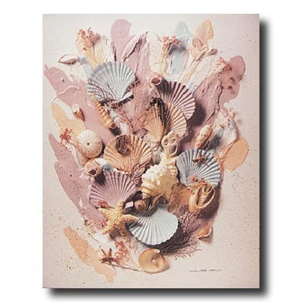 Ocean Sea Shell Starfish Beach Bathroom Wall Decor Picture Art Print