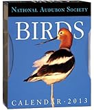 AUDUBON BIRDS GALLERY CALENDAR 2013
