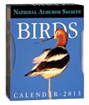 AUDUBON BIRDS GALLERY CALENDAR 2013