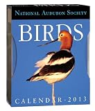 Birds Gallery 2013 Calendar (Page a Day Gallery Calendar)