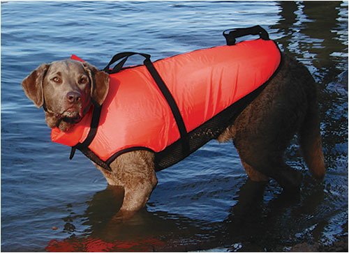 Childrens Toyshop  Pet Supplies : Premier Fido Float Life Vest, Tiny