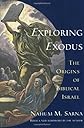Exploring Exodus : the origins of Biblical Israel