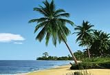 Komar - Fototapete - Afrikanischer Strand - 4-074