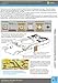 Alliance Model Works 1:35 Stencil WWII German Camouflage Hallow Disc #3 LW35077
